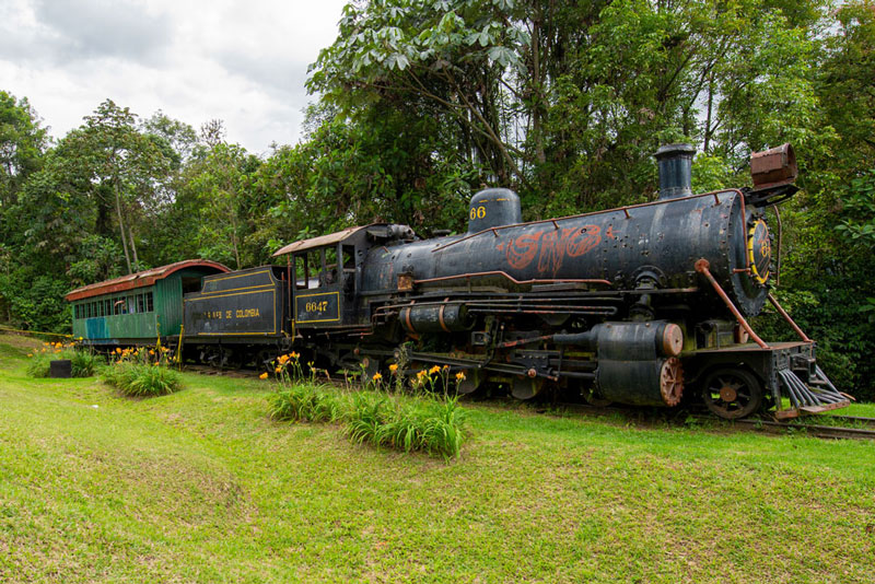 Locomotora Bosque Popular